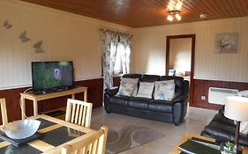 Birch Lodge 13 With Hot Tub Newton Stewart